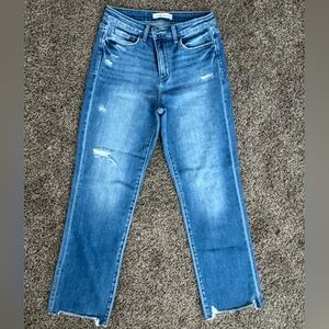 Flying Monkey Distressed Jeans